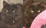 Fia & Fräs