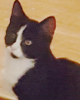 Läs mer om Minou