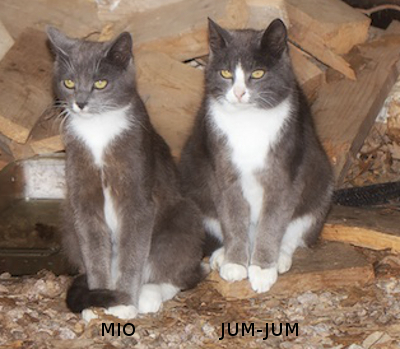 Mio & Jum-Jum